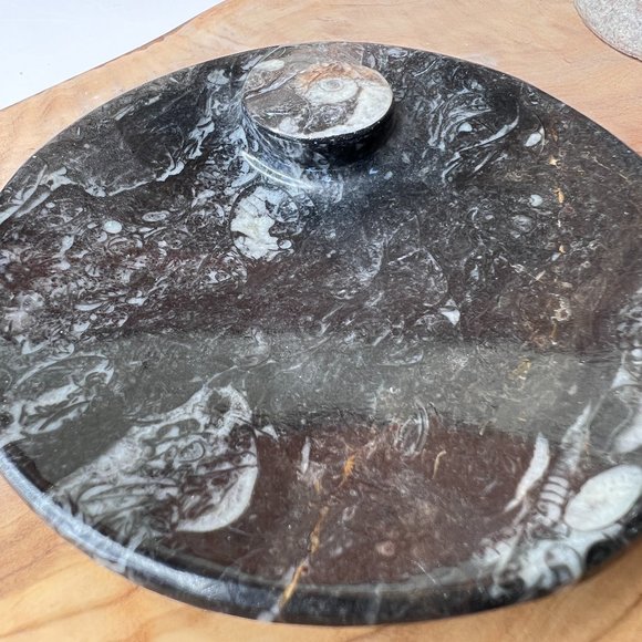 Genuine Orthoceras Fossil - Fossil Oval Ammonite Trinket dish from Morocco - Picture 2 of 11